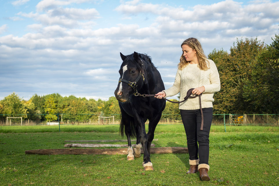 Equine-Assisted therapy - Horses